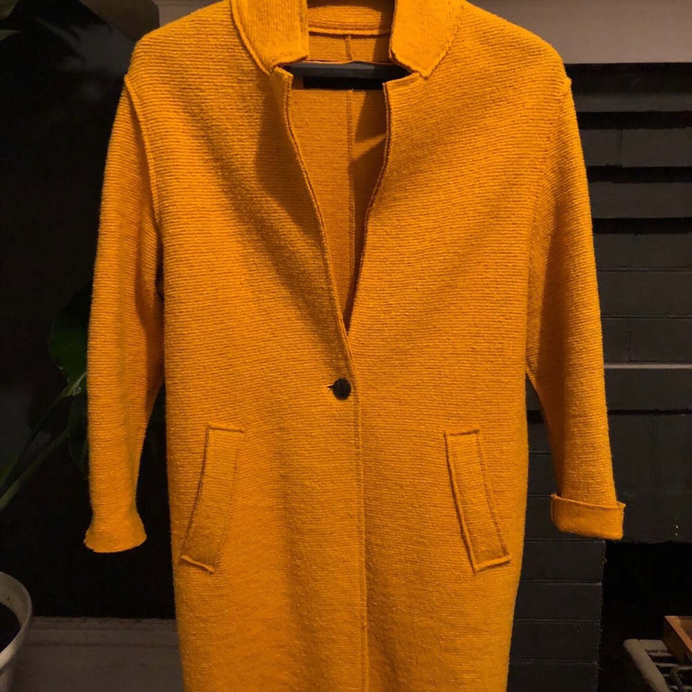 Zara coat